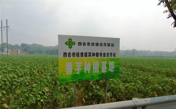 发挥资源大优势 打造农产品小镇品牌